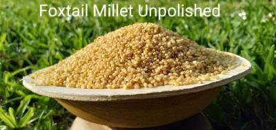FOXTAIL MILLET 20 KG