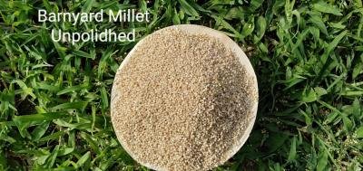 BARNYARD MILLET 5 KG